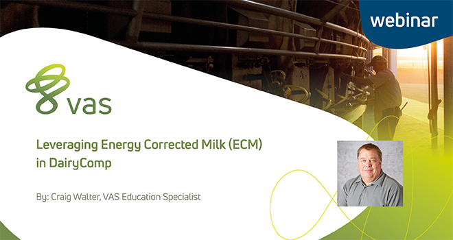 Leveraging Energy Corrected Milk (ECM) in DairyComp