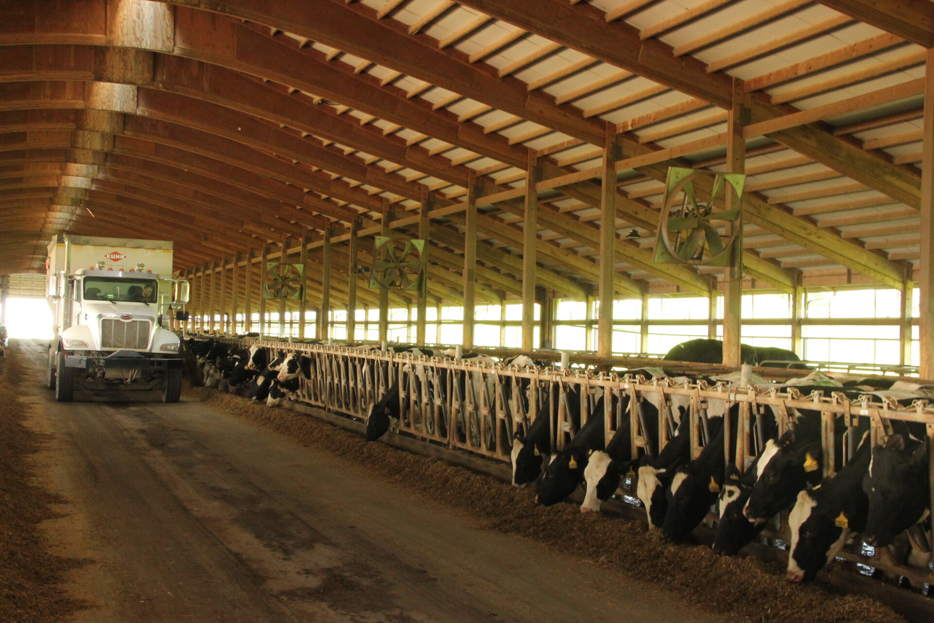 Operation christmas waiver form