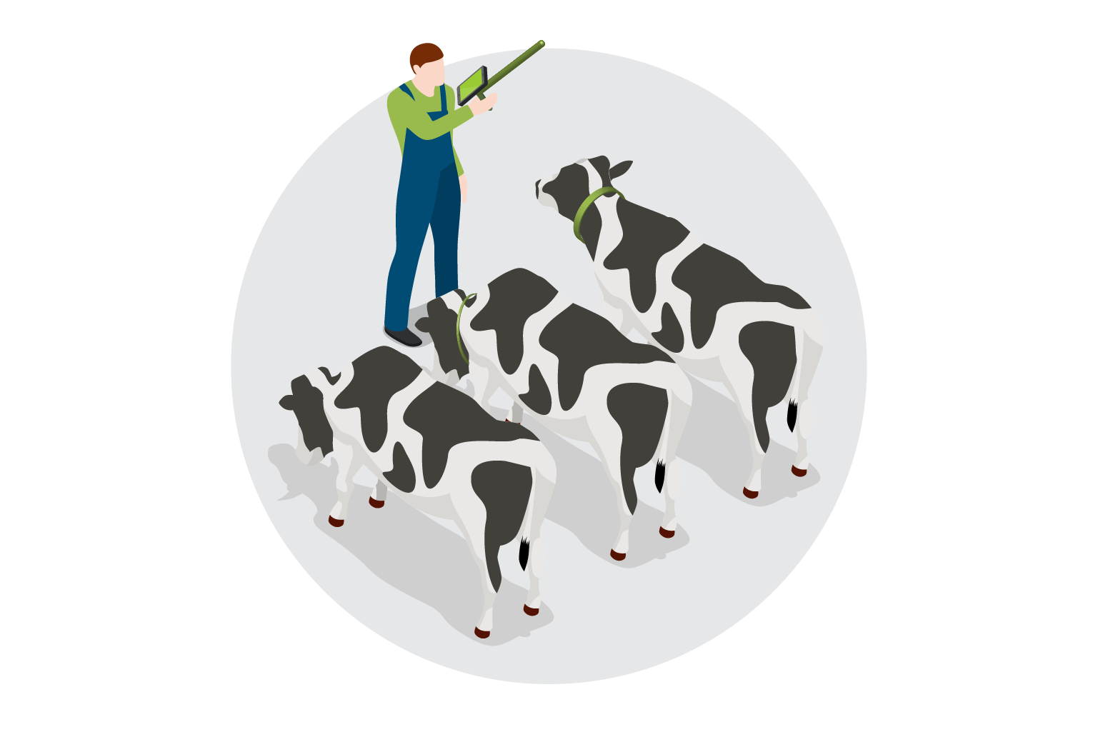 Put the power of herd management in your hands - VAS