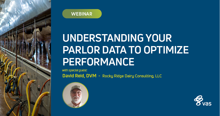 Understanding Your Parlor Data to Optimize Performance