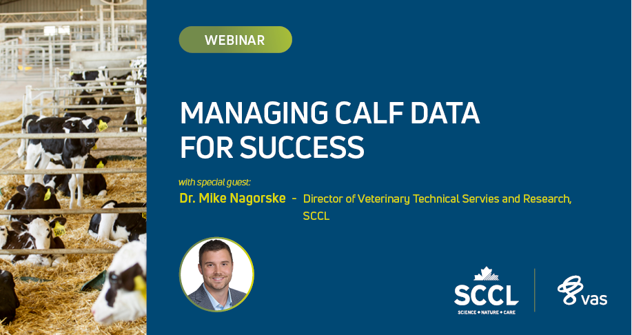 Managing Calf Data for Success