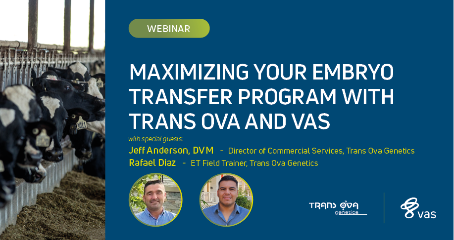 Maximizing Your Embryo Transfer Program with Trans Ova and VAS