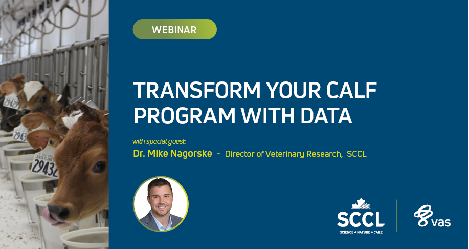 Transform your calf program with data