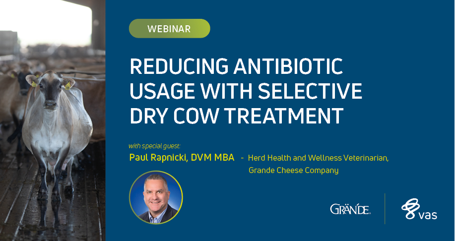 REDUCING ANTIBIOTIC USAGE WITH SELECTIVE DRY COW TREATMENT