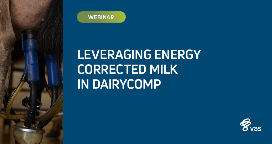 Leveraging Energy Corrected Milk (ECM) in DairyComp