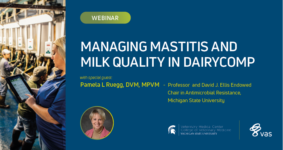 Managing Mastitis and Milk Quality in DairyComp 