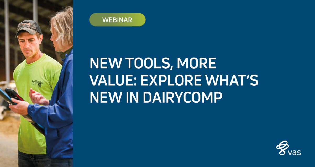 New Tools, More Value: Explore What's New in DairyComp